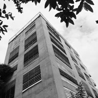 Black and white low-angle view of a modern concrete building framed by tree leaves.