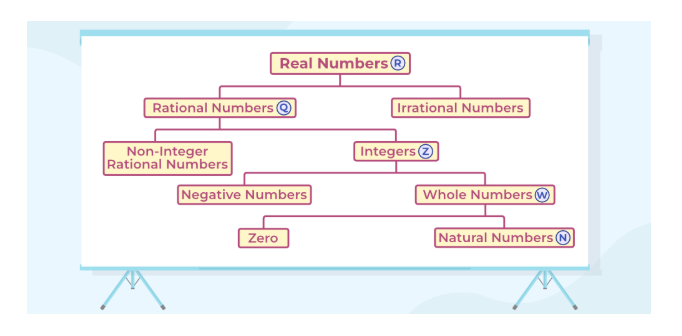 Types of Real Numbers 