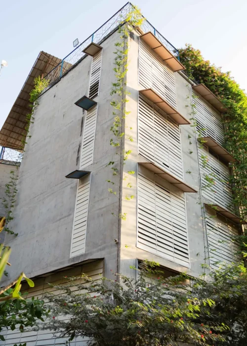 Divya Jyot School Building Exterior with Green Wall